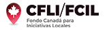 Canada Fund for Local Initiatives